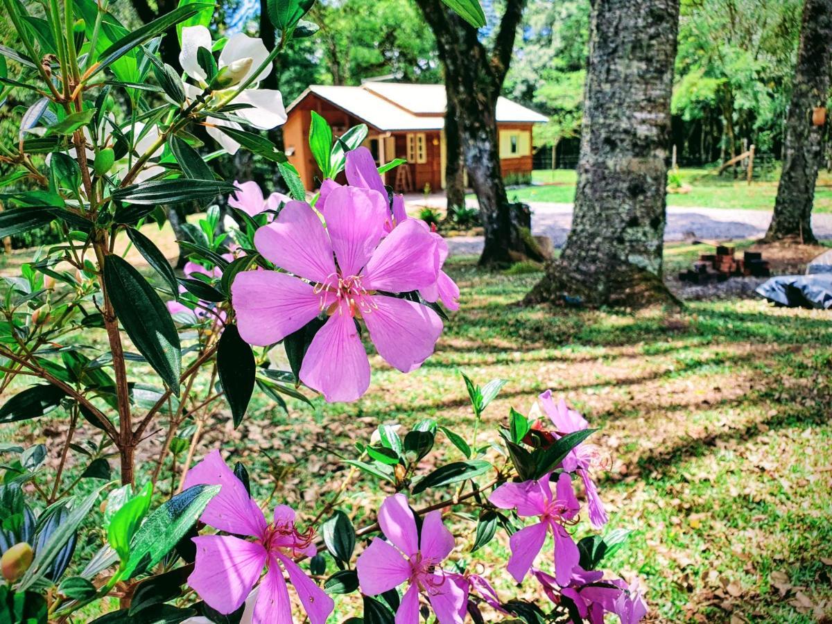 Sitio Recanto Feliz Gramado Ngoại thất bức ảnh