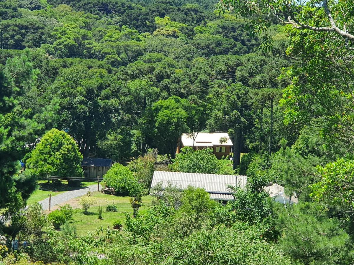 Sitio Recanto Feliz Gramado Ngoại thất bức ảnh