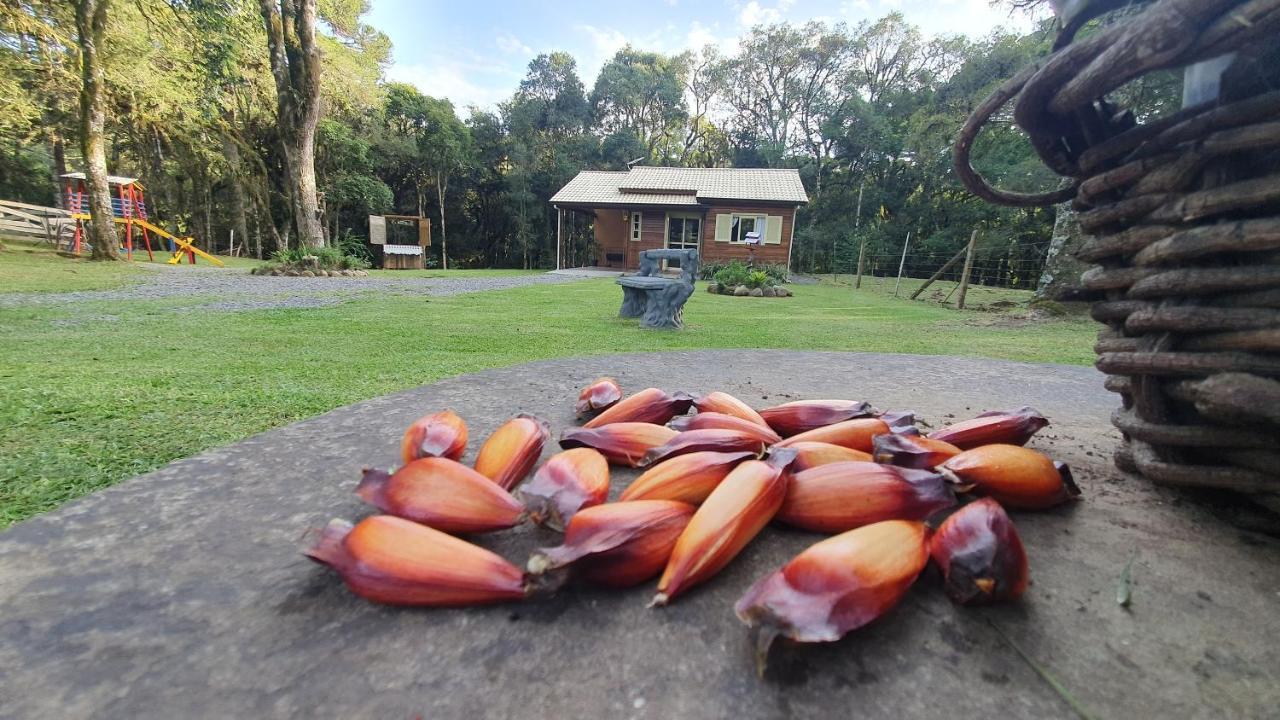 Sitio Recanto Feliz Gramado Ngoại thất bức ảnh